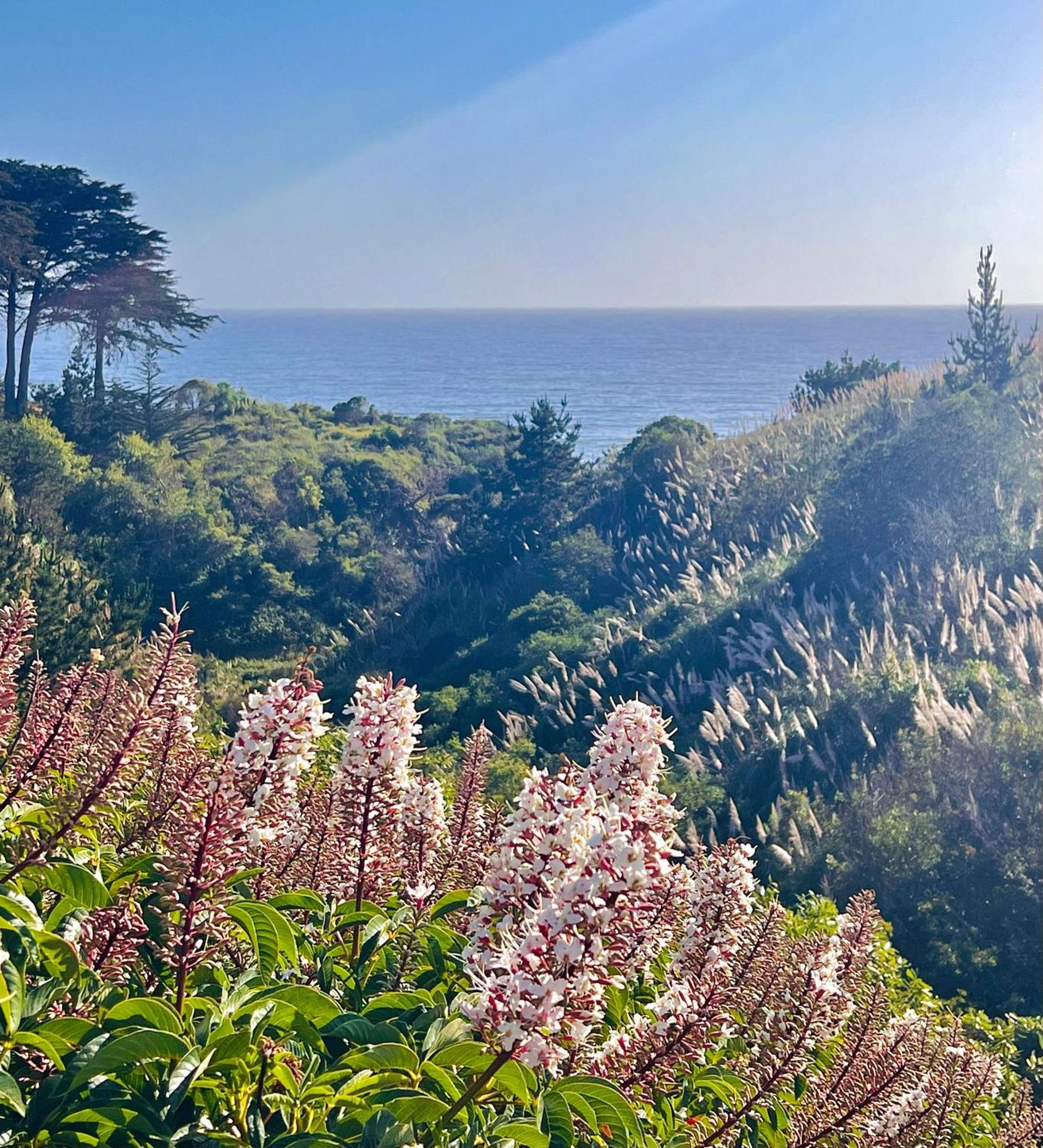 Royal - Ocean View - Heated Pools - Seascape's 1 Bedroom - 3 Beds - End Unit Apartment Aptos